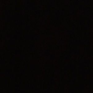 Meet your Posher, Isabella